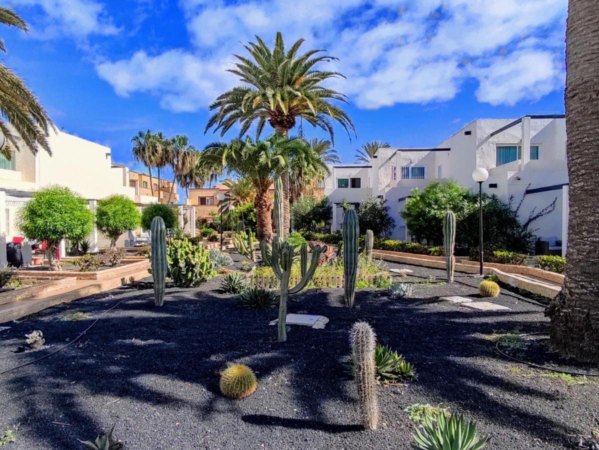 Red Hibiscus Corralejo Irent Fuerteventura公寓 外观 照片